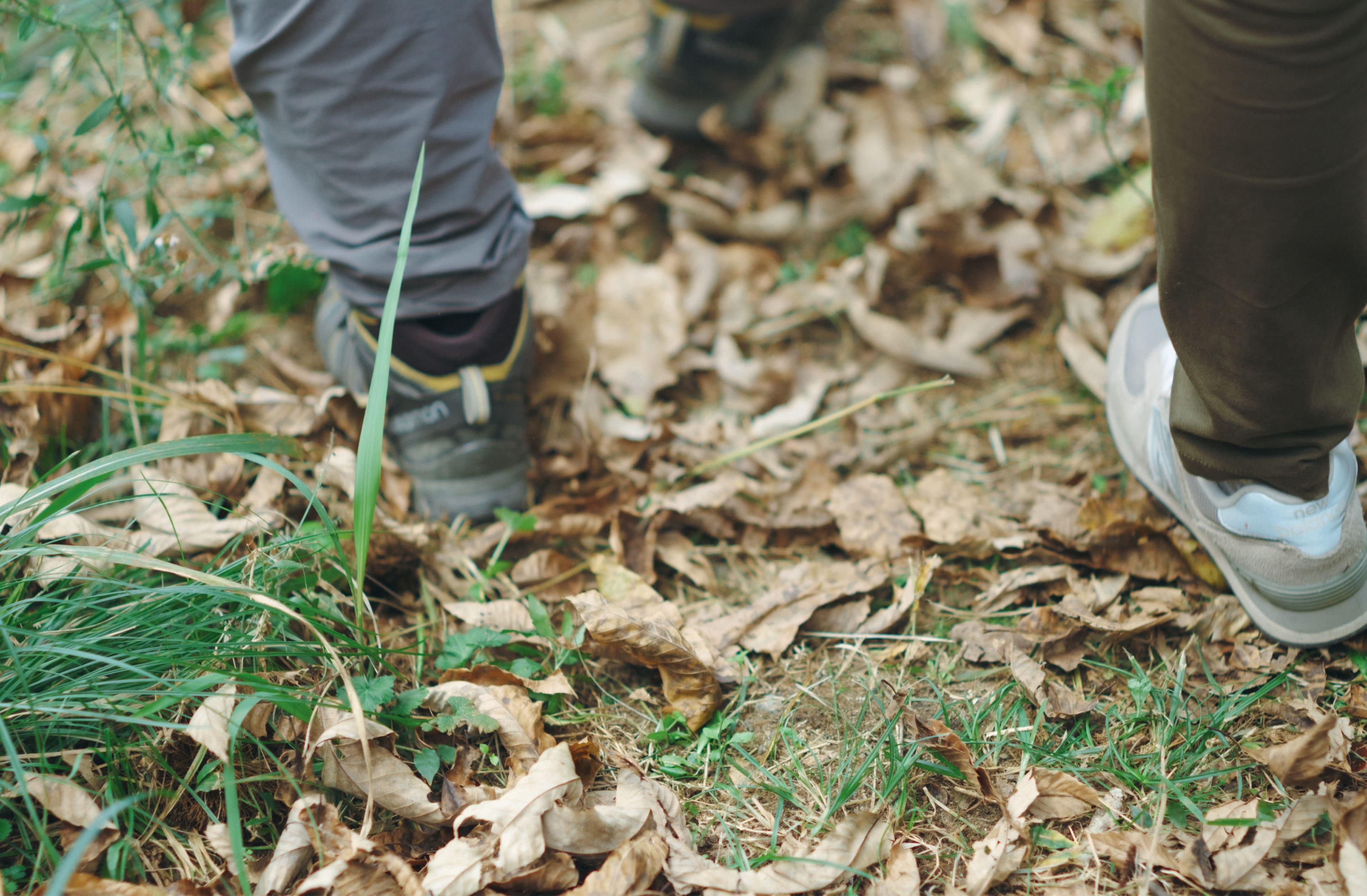 フットパス協会